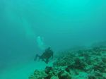 Hawaii Scuba divng 12