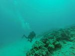 Hawaii Scuba divng 13