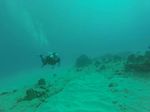 Hawaii Scuba divng 14