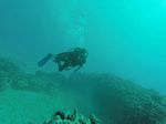 Hawaii Scuba divng 17