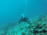 Hawaii Scuba divng 01