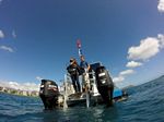 Hawaii Scuba divng 21