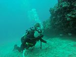 Hawaii Scuba divng 28