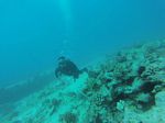 Hawaii Scuba divng 02