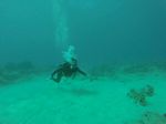 Hawaii Scuba divng 36