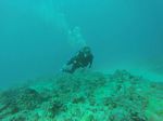 Hawaii Scuba divng 38