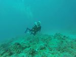 Hawaii Scuba divng 39