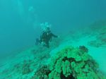 Hawaii Scuba divng 41