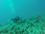 Hawaii Scuba divng 42