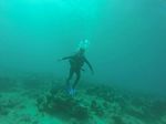 Hawaii Scuba divng 04