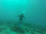 Hawaii Scuba divng 04