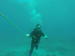 Hawaii Scuba divng 06