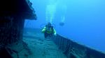 Sea Tiger shipwreck 23