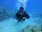 beginner scuba 16