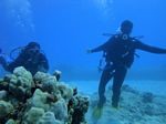 beginner scuba 20