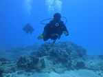 beginner scuba 24