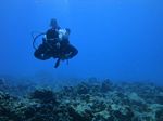 beginner scuba 27