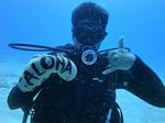 beginner scuba 29