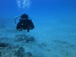 beginner scuba 32