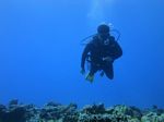 beginner scuba 37