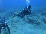 beginner scuba 43