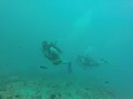 Hawaii Scuba divng 11