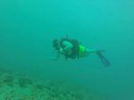 Hawaii Scuba divng 13