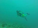 Hawaii Scuba divng 14