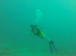 Hawaii Scuba divng 17