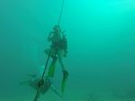 Hawaii Scuba divng 01