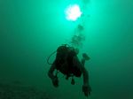 Hawaii Scuba divng 21