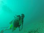Hawaii Scuba divng 22