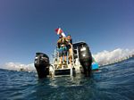 Hawaii Scuba divng 05