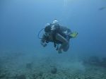 Hawaii Scuba divng 10