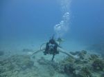 Hawaii Scuba divng 14