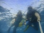 Hawaii Scuba divng 24