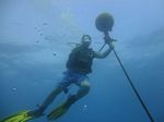 Hawaii Scuba divng 26