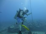 Hawaii Scuba divng 29