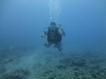 Hawaii Scuba divng 33