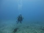 Hawaii Scuba divng 35