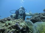 Hawaii Scuba divng 40