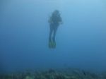 Hawaii Scuba divng 47