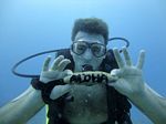 Hawaii Scuba divng 48