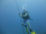 Hawaii Scuba divng 51