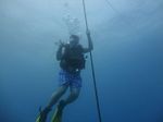 Hawaii Scuba divng 07