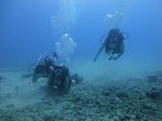 Hawaii Scuba divng 10