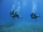 Hawaii Scuba divng 11