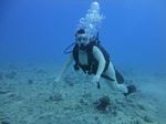 Hawaii Scuba divng 12