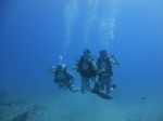 Hawaii Scuba divng 13