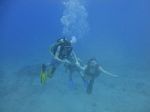 Hawaii Scuba divng 16